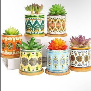 6 x Ceramic Pots/Planters